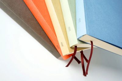 Лот: 4577689. Фото: 1. Ежедневник "Затеси". Брендирование. Записные книжки, ежедневники, блокноты