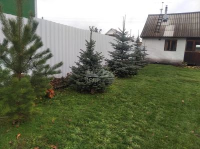 Лот: 16690131. Фото: 1. Продается дом 50 кв.м. 9 сот... Дачи