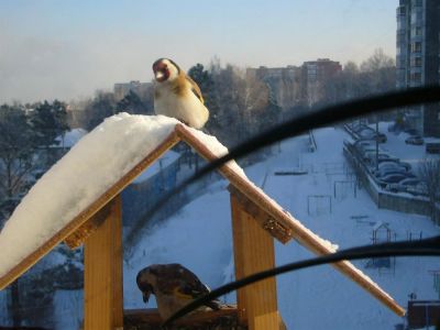 Лот: 3650986. Фото: 1. 2-х комнатная квартира. Квартиры, студии