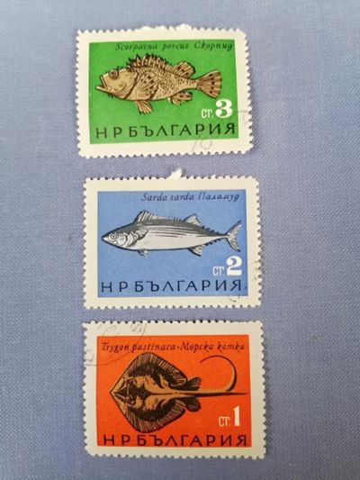 Лот: 24985481. Фото: 1. Набор марок рыбы. Болгария. Марки