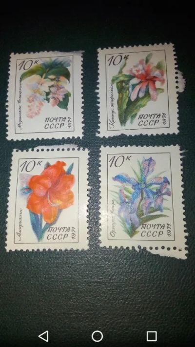 Лот: 19845255. Фото: 1. СССР 1971г. Флора Цветы. Набор... Марки