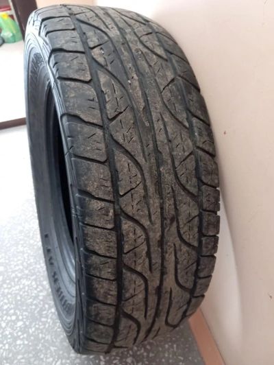 Лот: 21976043. Фото: 1. Комплект летних автошин Dunlop... Шины
