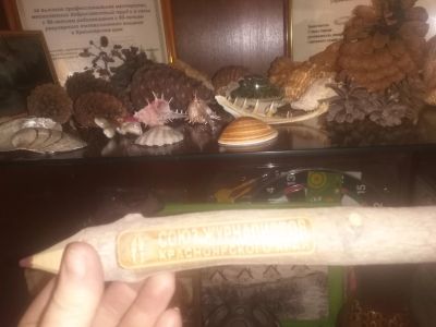 Лот: 17273824. Фото: 1. Карандаш с надписью Красноярский... Сувенирные мелочи