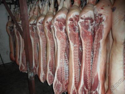 Лот: 6296192. Фото: 1. Свинина Туша\ Полтуши \ Четверть... Мясо, птица, яйцо