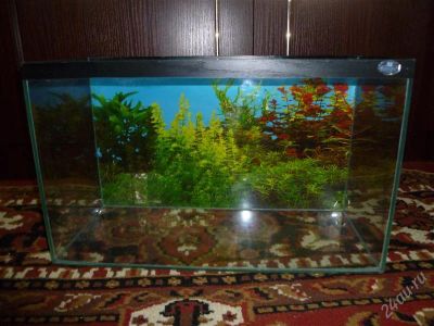 Лот: 1148854. Фото: 1. аквариум 30л. Аквариумы, террариумы