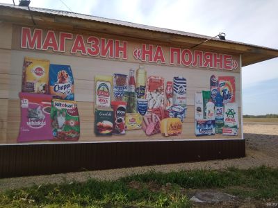 Лот: 14546961. Фото: 1. Продуктовый магазин с землёй в... Торговля, магазины