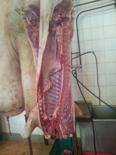 Лот: 5424724. Фото: 1. Свинина 2 категория по 180 рублей... Материалы и сырьё