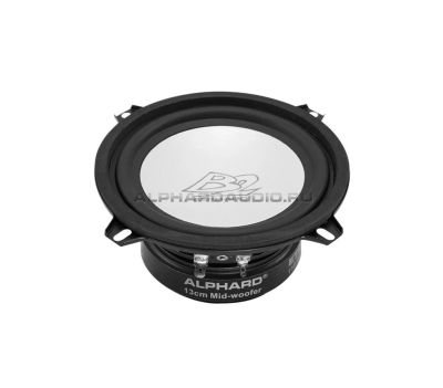 Лот: 8716998. Фото: 1. Alphard ETP-50B2 мидбас 13 см... Акустика автомобильная