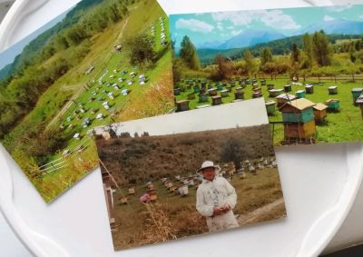 Лот: 14358197. Фото: 1. Честный Мёд горный таёжный (разнотравье... Мёд, продукты пчеловодства