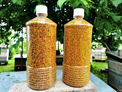 Лот: 14480817. Фото: 1. Пыльца / Обножка пчелиная / 1... Мёд, продукты пчеловодства