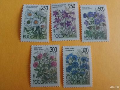 Лот: 18459364. Фото: 1. 1995 г, флора полевые цветы, серия... Марки
