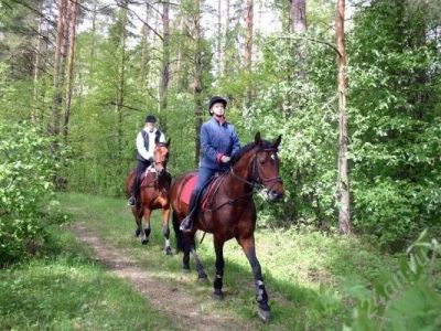Лот: 1875466. Фото: 1. Абонемент на конные прогулки и... Туры, путёвки, билеты