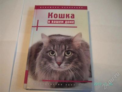 Лот: 610543. Фото: 1. Кошка в вашем доме. Другое (животные и уход)