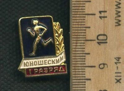 Лот: 17753679. Фото: 1. (№9663) значки Юношеский 1 разряд. Другое (значки, медали, жетоны)