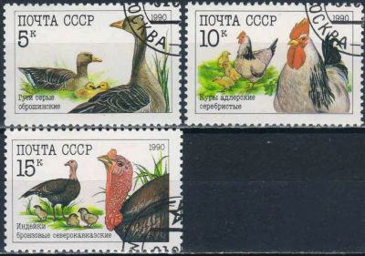 Лот: 25512487. Фото: 1. 1990, июль. Домашние птицы. Полная... Марки