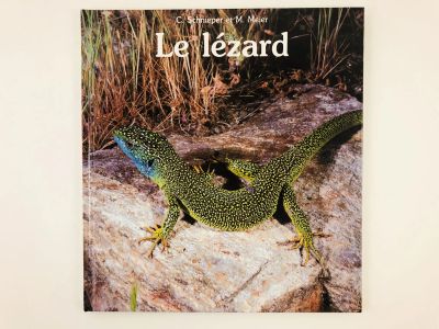 Лот: 23277921. Фото: 1. Le lezard (Ящерица). Шнипер С... Другое (литература, книги)