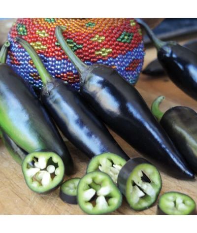 Лот: 7258846. Фото: 1. Семена Jalapeno (халапеньо фиолетовый... Овощи