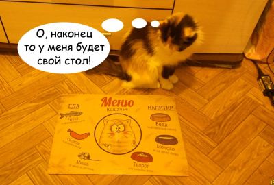 Лот: 4842949. Фото: 1. Отличный коврик под миску для... Разное