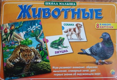 Лот: 20838999. Фото: 1. Развивающие карточки. Развивающие