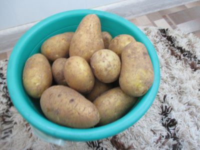 Лот: 14484715. Фото: 1. картофель сорт Тулеевский урожай... Картофель