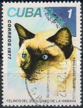 Лот: 21424195. Фото: 1. 1977. Куба. Кошки в зоопарке Гаваны... Марки