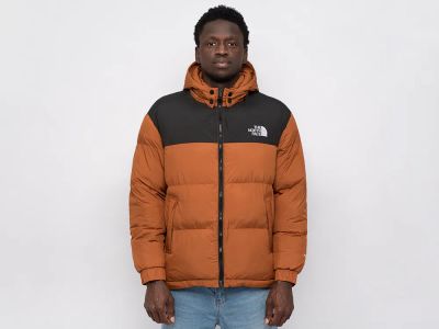 Лот: 24975767. Фото: 1. Куртка The North Face. Верхняя одежда