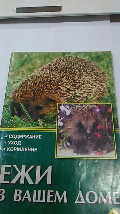 Лот: 9974816. Фото: 1. Книга. Ежи в вашем доме. Рахманов... Домашние животные