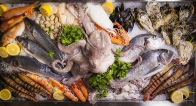 Лот: 15489785. Фото: 1. Сеть магазинов морепродуктов. Торговля, магазины