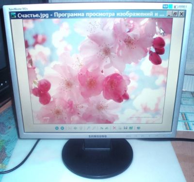 Лот: 12718371. Фото: 1. LCD монитор 19", Samsung SyncMaster... ЖК-мониторы