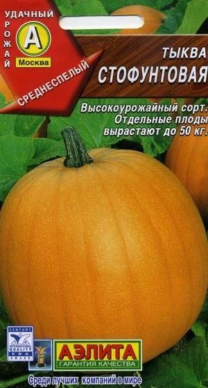 Лот: 9272058. Фото: 1. Тыква Стофунтовая (семена, белый... Овощи