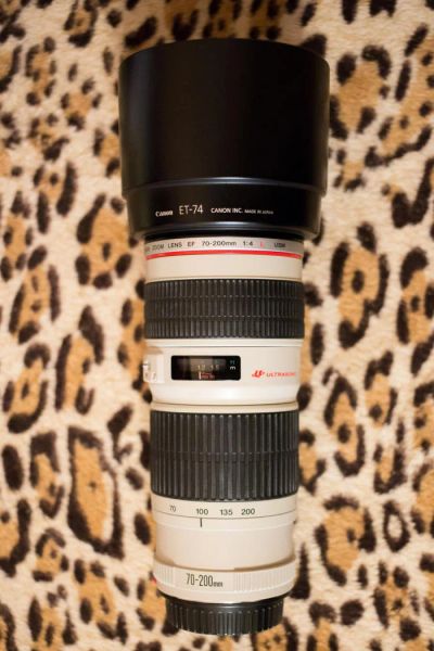 Лот: 5511308. Фото: 1. Canon EF 70-200mm f/4L USM 70-200. Объективы