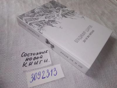 Лот: 22268912. Фото: 1. (3092313) меш. До и во время... Художественная