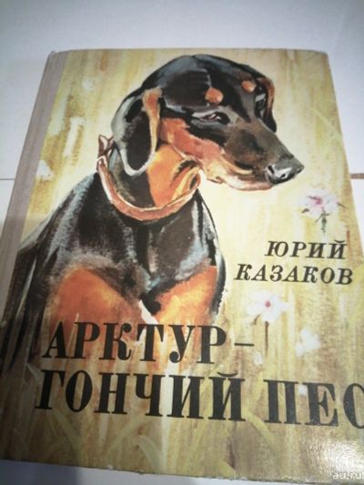 Лот: 16946949. Фото: 1. Юрий Казаков Арктур гончий пёс... Художественная для детей