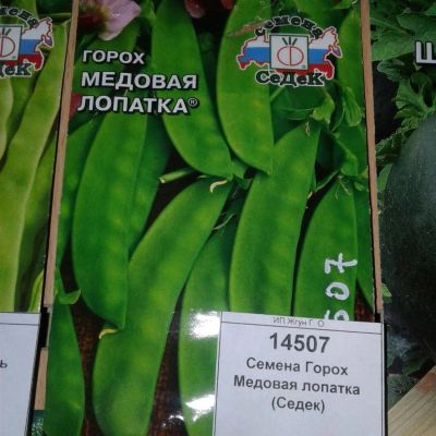Лот: 9125016. Фото: 1. Семена / Горох / Медовая лопатка... Овощи