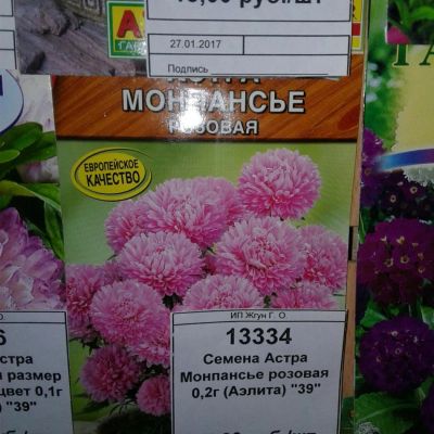 Лот: 9113427. Фото: 1. Семена / цветы / Астра / Монпансье... Садовые цветы
