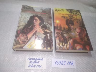 Лот: 15865060. Фото: 1. оз..(1092319А) Василий Балябин... Художественная