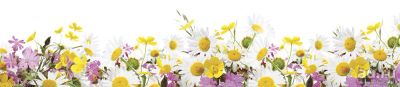 Лот: 13834677. Фото: 1. SP 188 Стеновые дизайн панели... Фартуки для кухни