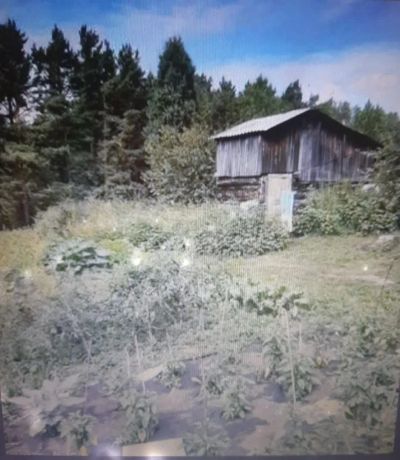 Лот: 25386360. Фото: 1. 2-комн. дача , СНТ Берёзка СНТ... Дачи