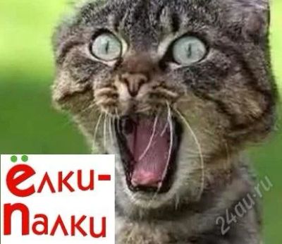Лот: 2331479. Фото: 1. Ёлочки! С доставкой к Новому Году... Аксессуары