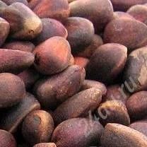 Лот: 1188993. Фото: 1. кедровый орех свежий 2011+бонус... Ягоды, орехи