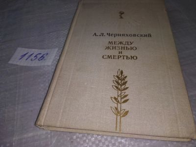 Лот: 19098539. Фото: 1. Черняховский А. Л. Между жизнью... Другое (общественные и гуманитарные науки)