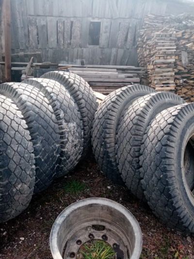 Лот: 19470432. Фото: 1. Грузовые шины 10.00 R20. Шины