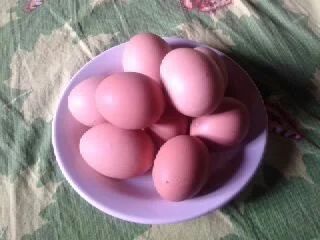 Лот: 3015352. Фото: 1. Яйцо куриное домашнее. Мясо, птица, яйцо