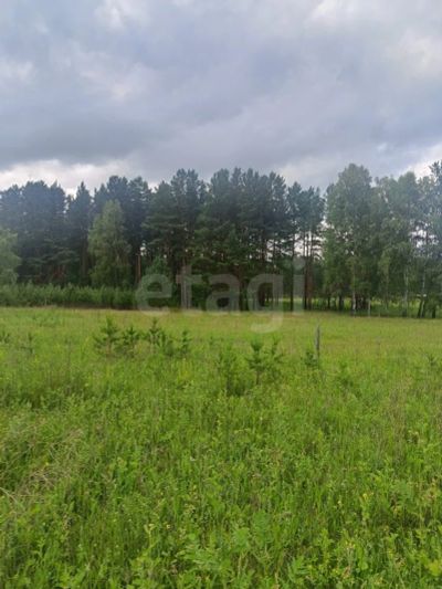 Лот: 25580034. Фото: 1. участок , СНТ Рублёвка Смоленская... Земельные участки