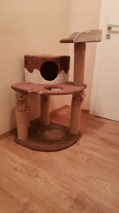 Лот: 25003538. Фото: 1. Кошачий дом когтеточка. Домики, переноски, клетки, когтеточки