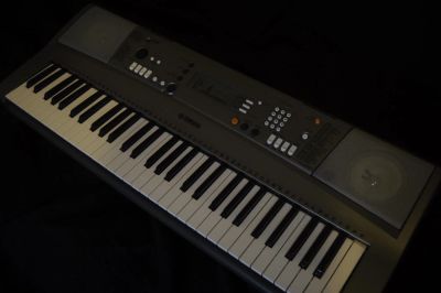 Лот: 5369254. Фото: 1. Синтезатор Yamaha PSR R300. Клавишные