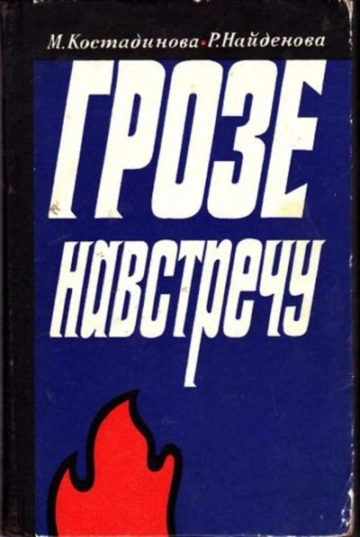 Лот: 23446574. Фото: 1. Грозе навстречу. Мемуары, биографии