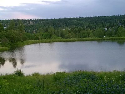 Лот: 20316607. Фото: 1. Участок в Крючково. Дачи