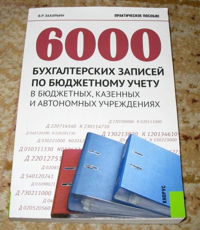 Лот: 3872691. Фото: 1. "6000 бухгалтерских записей по... Бухгалтерия, налоги