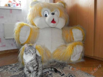 Лот: 743126. Фото: 1. Мягкая игрушка Медведь. Мягкие
